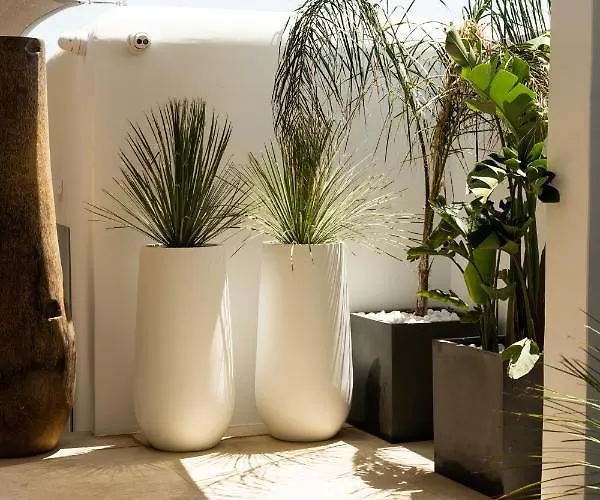 Casa Kiku Boutique Hotel Mykonos Mykonos Town